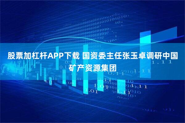 股票加杠杆APP下载 国资委主任张玉卓调研中国矿产资源集团