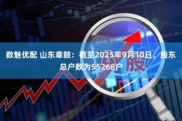 数魅优配 山东章鼓：截至2025年9月10日，股东总户数为55268户