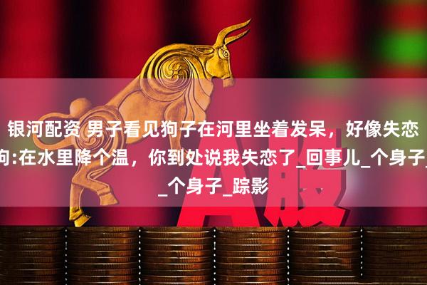 银河配资 男子看见狗子在河里坐着发呆，好像失恋了。狗:在水里降个温，你到处说我失恋了_回事儿_个身子_踪影