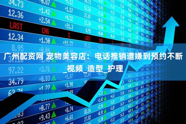 广州配资网 宠物美容店：电话推销遭嫌到预约不断_视频_造型_护理