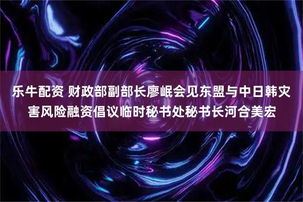 乐牛配资 财政部副部长廖岷会见东盟与中日韩灾害风险融资倡议临时秘书处秘书长河合美宏