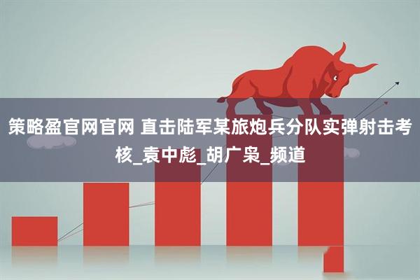 策略盈官网官网 直击陆军某旅炮兵分队实弹射击考核_袁中彪_胡广枭_频道