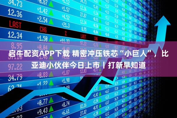 启牛配资APP下载 精密冲压铁芯“小巨人”，比亚迪小伙伴今日上市丨打新早知道